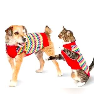 Large Target Dog Sweater Colorful New